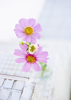 タカラスタンダードさいたまショールームの魅力と最新情報｜快適な住まいを実現するためのポイントを解説